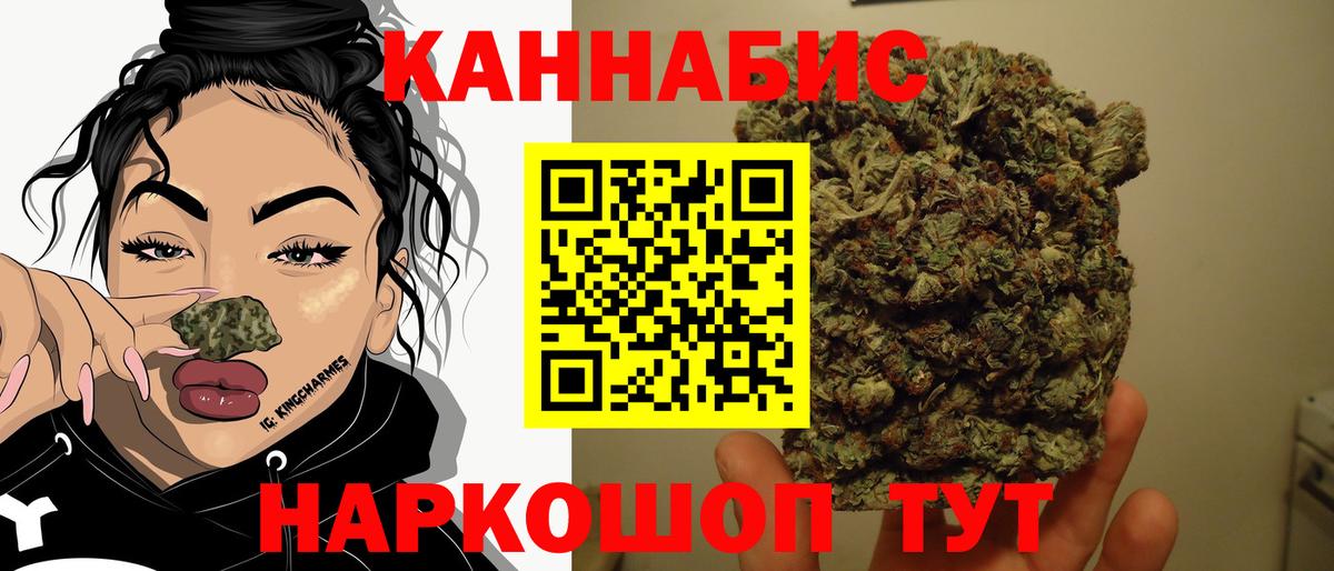 Каннабис планчик Аша